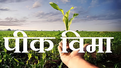 Crop Insurance