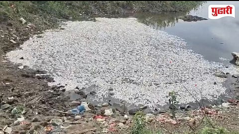 Jalgaon Manyarkheda Lake