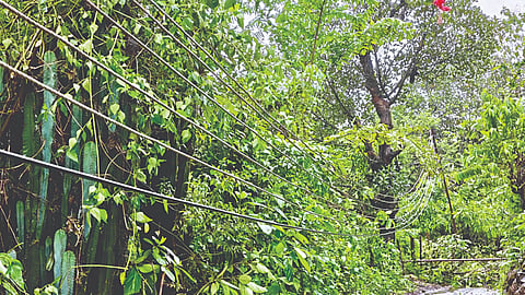 Ratnagiri Rain update