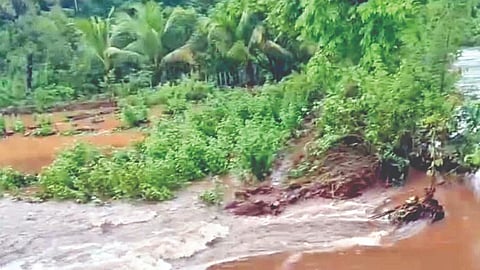 Ratnagiri Rain update
