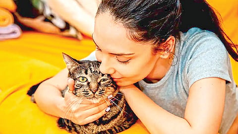 Cat Exposure Mental Illness Risk |