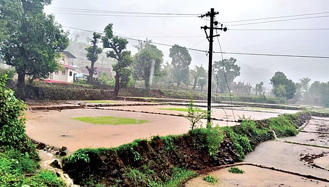 Satara Rain update
