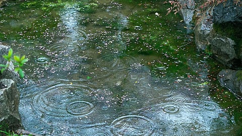 Parbhani rainfall shortage