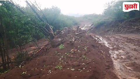 Kasarwadi forest land encroachment : कासारवाडीत वनजमिनीवर डल्ला: ३०० वृक्षांची कत्तल करून अर्धा किलोमीटरचा रस्ता; गौण खनिजाची लूट