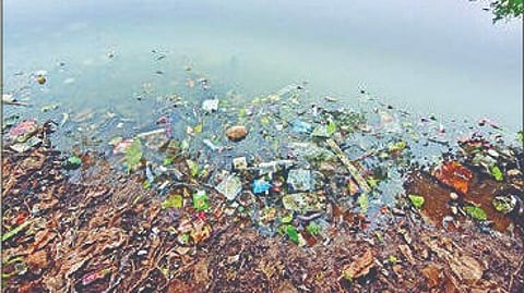 Panchganga Pollution |