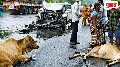 Chandrapur accident : भरधाव कारने रस्त्यावरील गुरांच्या कळपाला चिरडले; दोन जनावरे ठार, दोन गंभीर जखमी