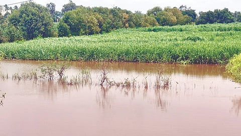 Warana River Flood