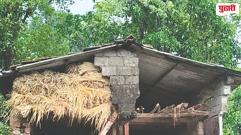 Raigad Heavy Rain Damage