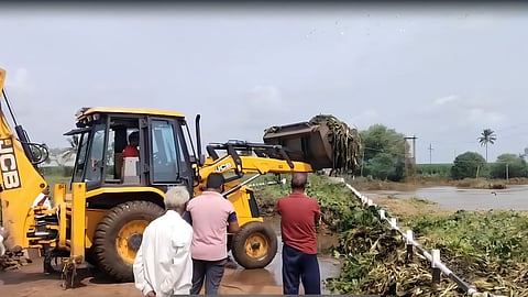 Kolhapur news: पंचगंगा ओसरताच शिरढोण पुलावर जलपर्णींचा खच