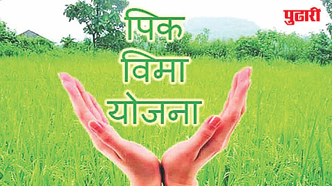 PMFBY Hingoli