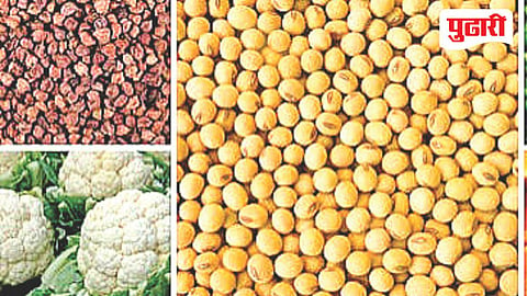 Jalna Tur Soyabean Rate