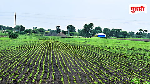 येवला : तालुक्यात समाधानकारक पावसामुळे हिरवेगाव झालेले शेत शिवार