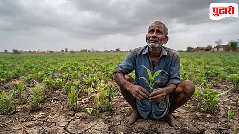 Kharif crops at risk in Nanded : बीज अंकुरले, पण आभाळाने फिरवली पाठ; नायगावात पावसाच्या प्रतीक्षेत बळीराजाचे डोळे पाणावले