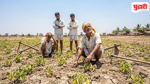 Kharif crop hingoli : गोरेगावसह परिसरात पेरणीनंतर पाऊस नसल्याने शेतकरी हतबल