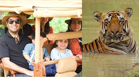 Tadoba Safari : ताडोबाची आंतरराष्ट्रीय भरारी! ब्रिक्स देशांच्या उच्चस्तरीय शिष्टमंडळाला 'व्याघ्रदर्शन'
