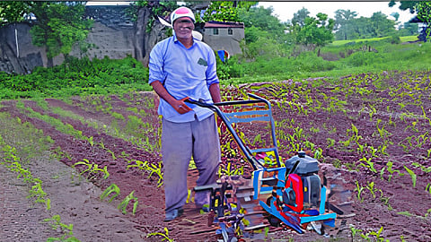 Nashik sowing delay