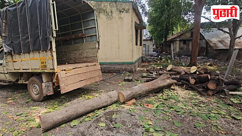 Forest Department Tree Cutting Controversy