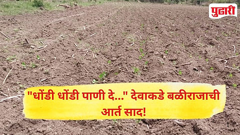 Purna Taluka Crop Damage
