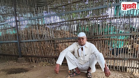 Nashik Leopard Attack Goats Killed