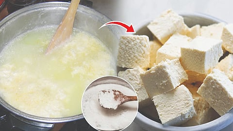 Fake Paneer