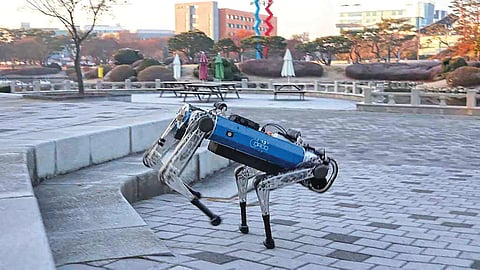Robotic Dog |