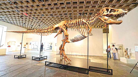 Gus Dinosaur |