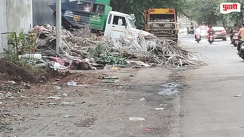 Garbage Crisis