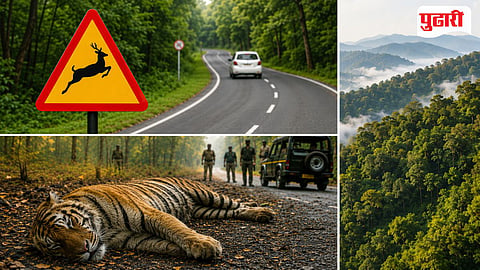 Wildlife Conservation