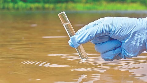 Water Quality |
