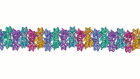 RNA Research |