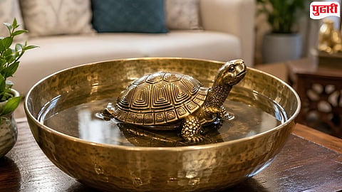 Metal Turtle Benefits at Home