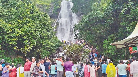 Amboli Waterfall