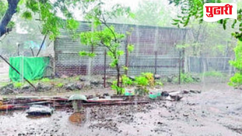 Beed rainfall