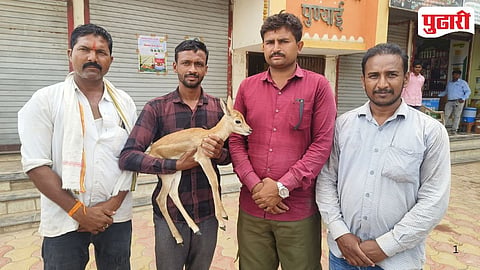 Wildlife Rescue Jalna