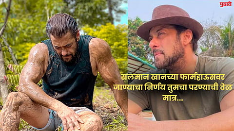 bollywood news