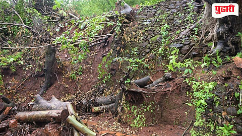 Poladpur Rainfall