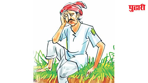 Latur agriculture news