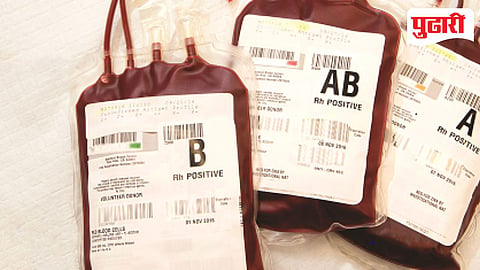 Blood bank audit