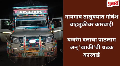 Nanded Crime : गडग्यात अवैध गोवंश वाहतूक पकडली; नायगाव पोलिसांकडून ८ लाख २५ हजारांचा मुद्देमाल जप्त, दोघे गजाआड