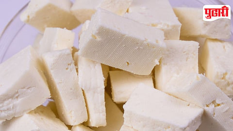 Paneer