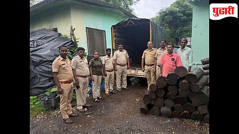 Khair wood smuggling Palghar: खैर तस्करीचा पर्दाफाश, ७७ ओंडके व टेम्पो जप्त; चालक फरार