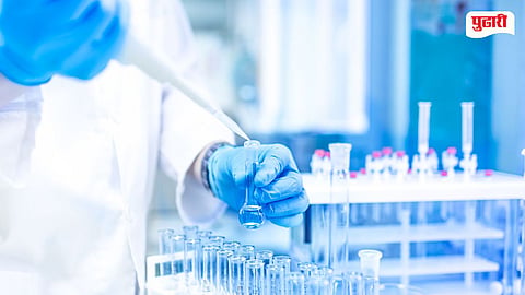 B.Pharm Syllabus