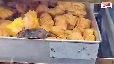 Badlapur Bakery