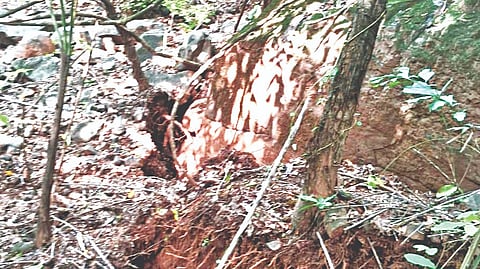 Ratnagiri News