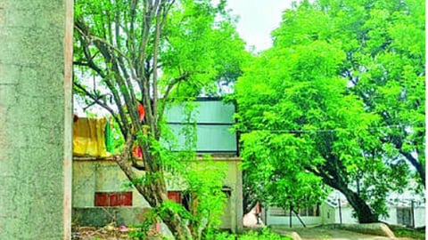 Renuka Devi Sansthan encroachment issue