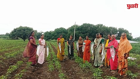 Organic Farming Parbhani