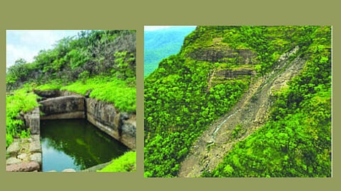 तांदुळवाडी किल्ला