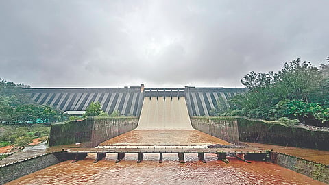 Koyna Dam: कोयना धरणाचे दरवाजे तीन फुटांवर