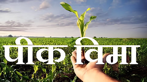 Crop insurance scheme farmers