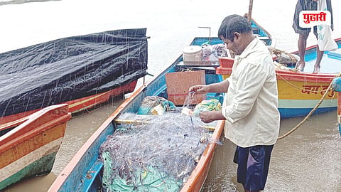 Panvel Fishing Season